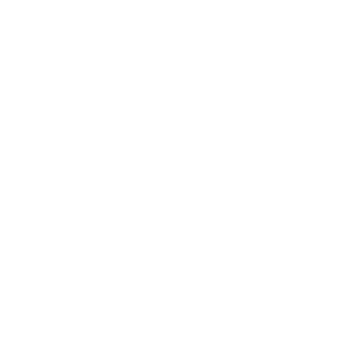 ARMY ON LOGO